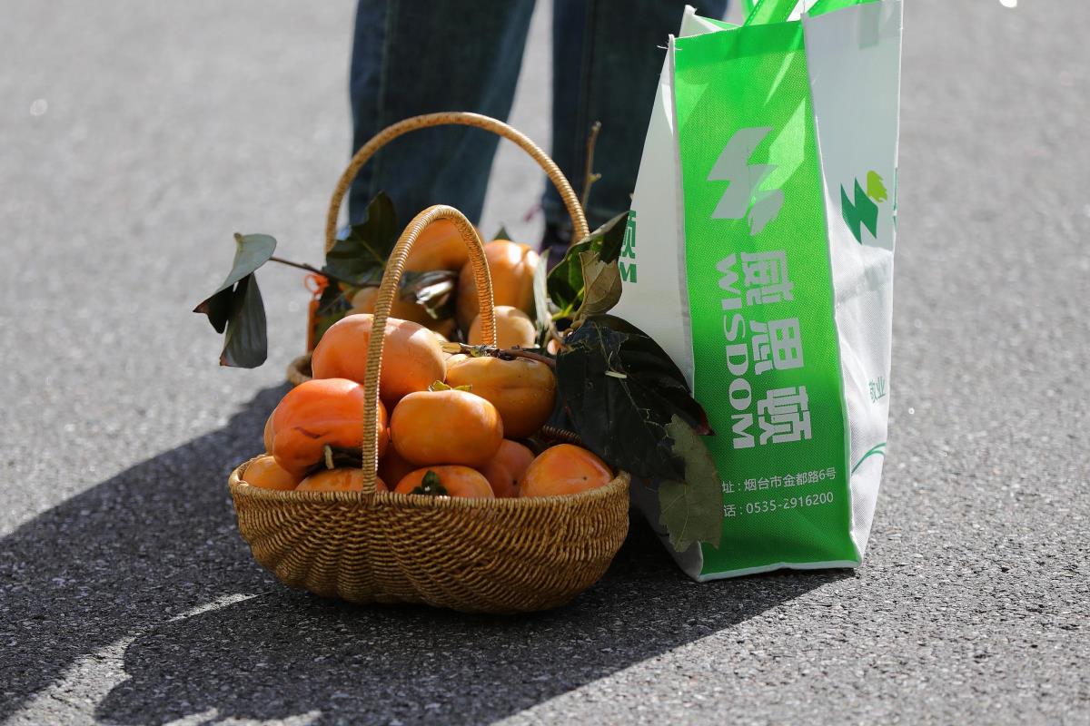 金年会金字招牌诚信至上